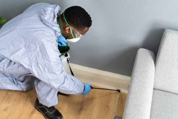 Best Termite Inspection and Treatment  in New Brunswick, NJ